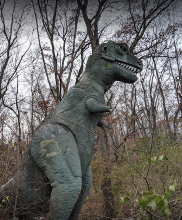 Prehistoric Forest - From The Web (newer photo)